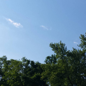 欧美成人做爱视频
