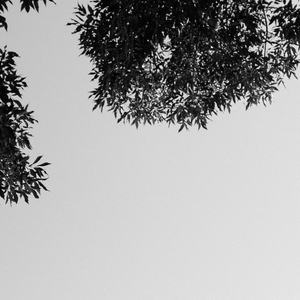 欧美成人做爱视频
